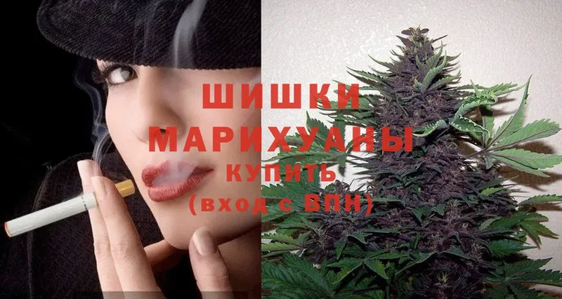 купить наркотик  hydra как войти  Бошки Шишки LSD WEED  Йошкар-Ола 